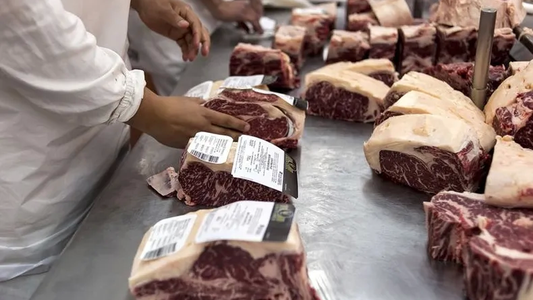 Por primera vez en el año se redujo el volumen de exportaciones de carne