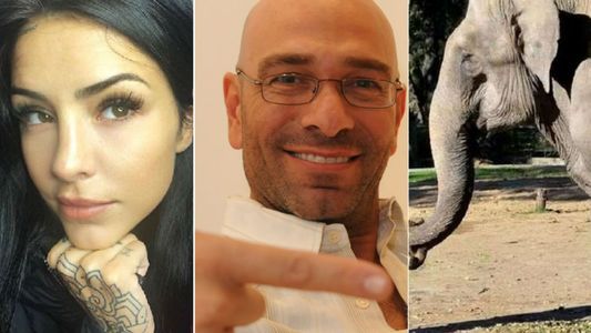 Famosos conmovidos por la muerte de la elefanta Pelusa: Descansa en paz