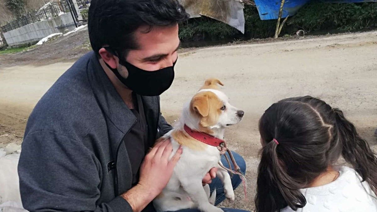 El hecho ocurrió en un pequeño pueblo de Turquía llamado Düzpelit.