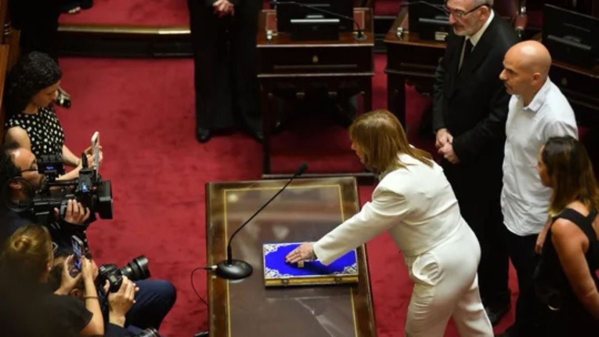 Patricia Bullrich pasa a conducir el bloque libertario en la Cámara Alta desde el 10 de diciembre.