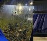 Balearon micros con hinchas de Tigre en Uruguay: fotos y video de la brutal agresión