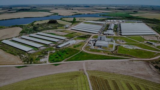 Un empresario del agro pidió un Nunca más para las políticas que distorsionan a la producción