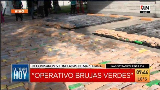 Golpe al narcotráfico: se presentó el operativo “brujas verdes”