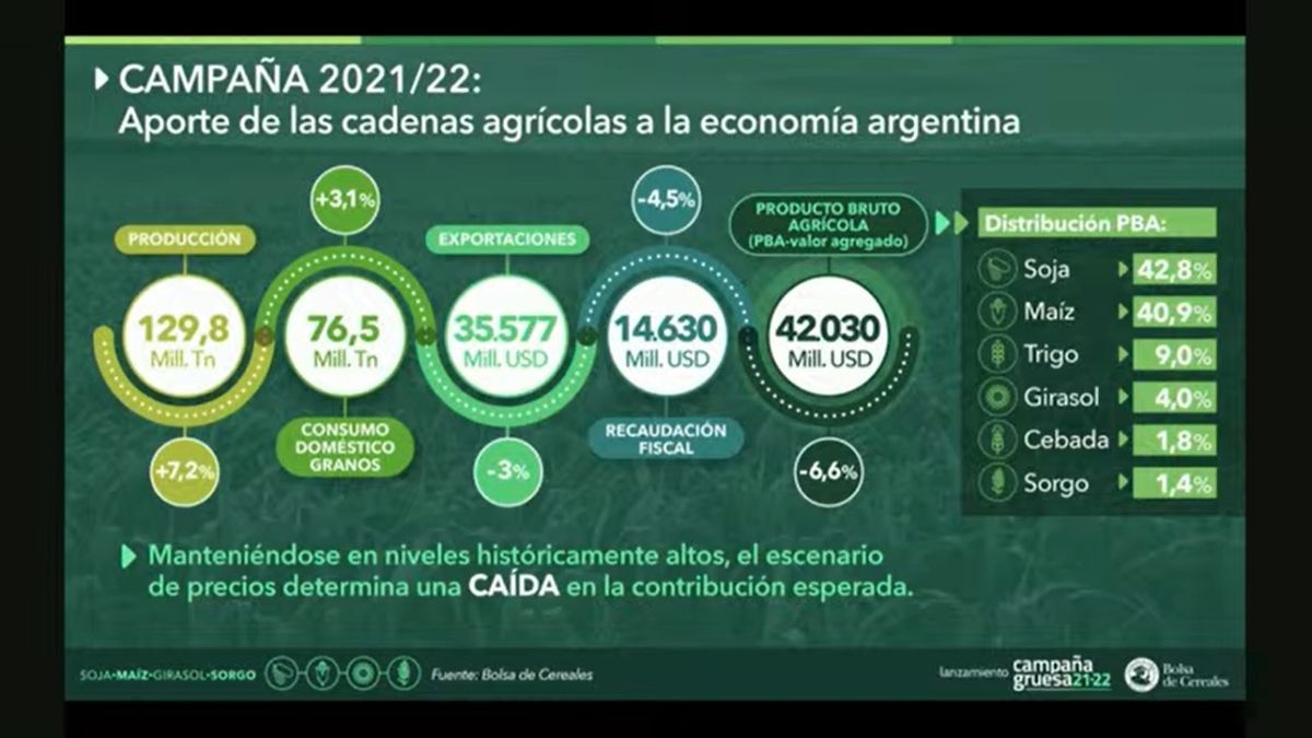 El aporte del agro al ingreso de dólares de 2022 se verá reducido a causa de la caída internacional de los precios. 