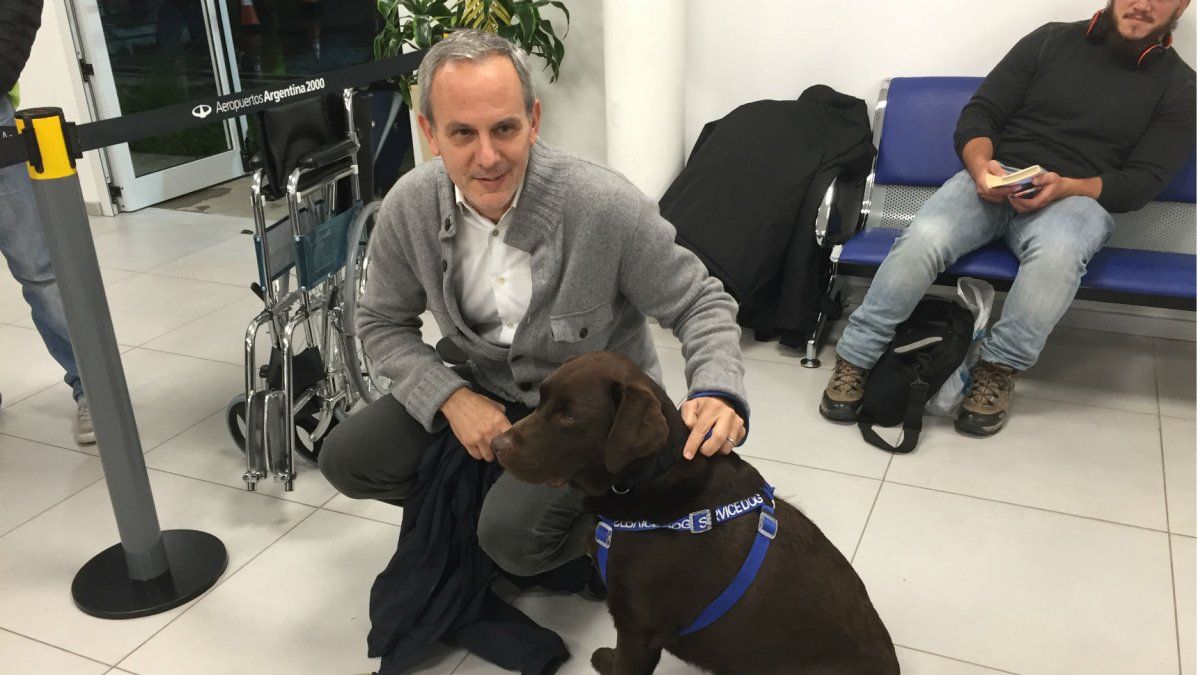 “Me gustaría vender pasajes a 200 pesos”, el sueño que el CEO de FlyBondi ahora puede cumplir