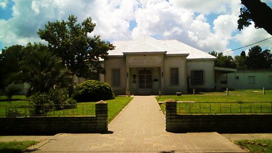 Un chico murió al recibir un disparo de un rifle de aire comprimido mientras cazaba pajaritos