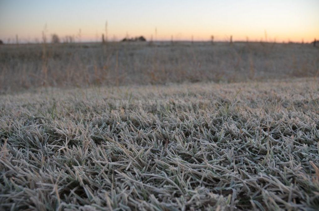 Continuarán los vientos polares y heladas sobre la mayor parte del área agrícola nacional