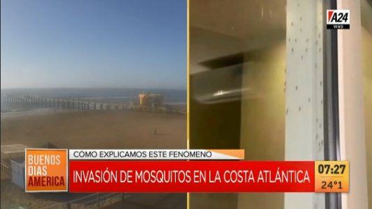 Alerta en la Costa Atlántica por una invasión de mosquitos