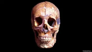 La ciencia puso fin a un mito sobre lo que ocurre después de la muerte