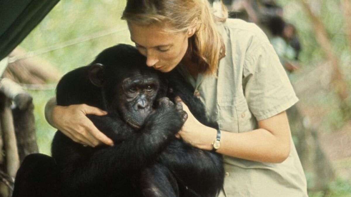 Quién era Jane Goodall, la activista y defensora de animales que murió a los 91 años