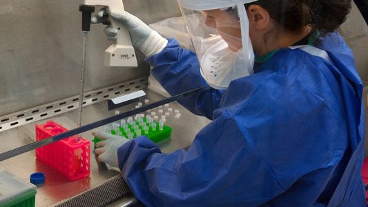 Hepatitis infantil desconocida, viruela del mono y coronavirus: los brotes sanitarios que golpean a la Argentina