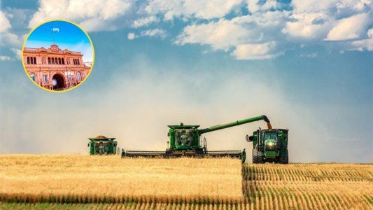 Cuando pase el temblor ¿La política económica dejará que el agro lidere la recuperación del país?