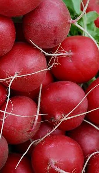 ¿Por qué el rabanito es tan bueno para la salud?