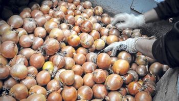 Inflación: un estudio de una universidad revela cuáles son los productos con más aumentos en el último año