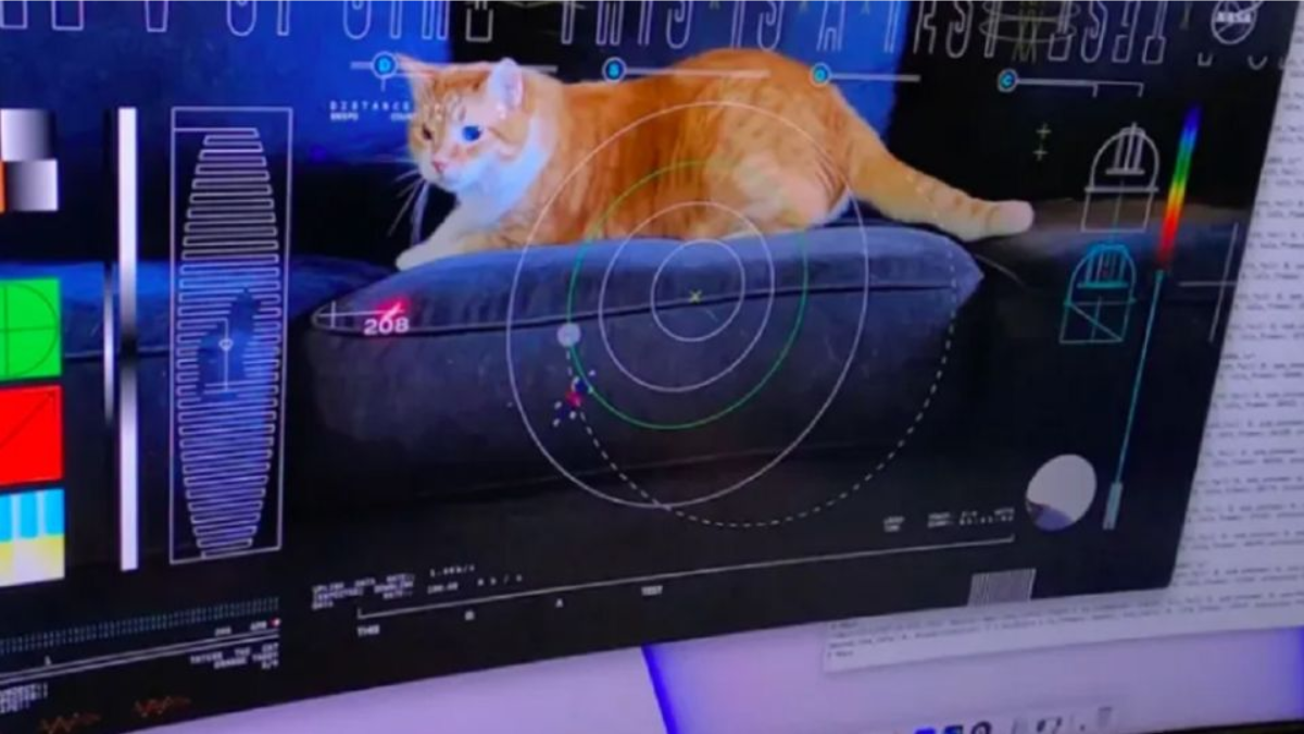 Señal de video recibido por la NASA. Fuente: Captura.