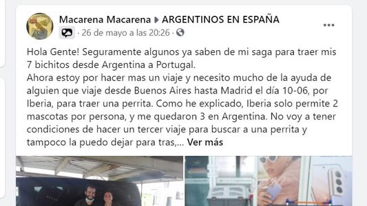Se mudó a Portugal y pide ayuda para no dejar abandonada a su perrita en Argentina