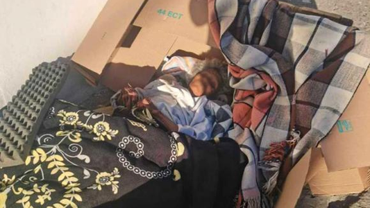 Abandonaron a una abuela en la calle dentro de una caja de cartón