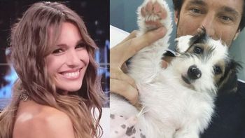 ¿El chofer de Pampita atropelló al perro de Pico Mónaco y ella lo dejó abandonado?