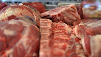 Carnes populares: comenzó a regir la venta de asado, vacío y matambre a precios 30% más baratos por 3 días