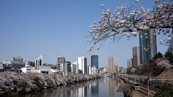 La ciudad más poblada del planeta Tierra se hunde lentamente antes de este año