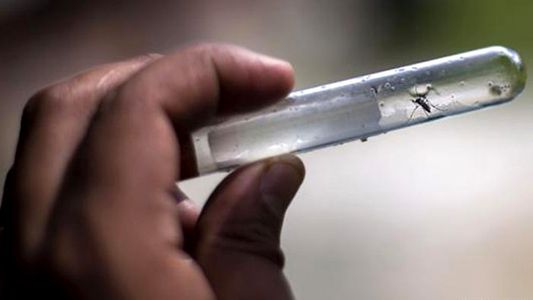 Rosario: detectan a una persona con dengue y coronavirus al mismo tiempo