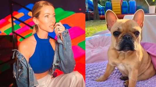 Nicole Neumann hizo una fuerte acusación por la desaparición de su perrita Shiva que preocupó a todos