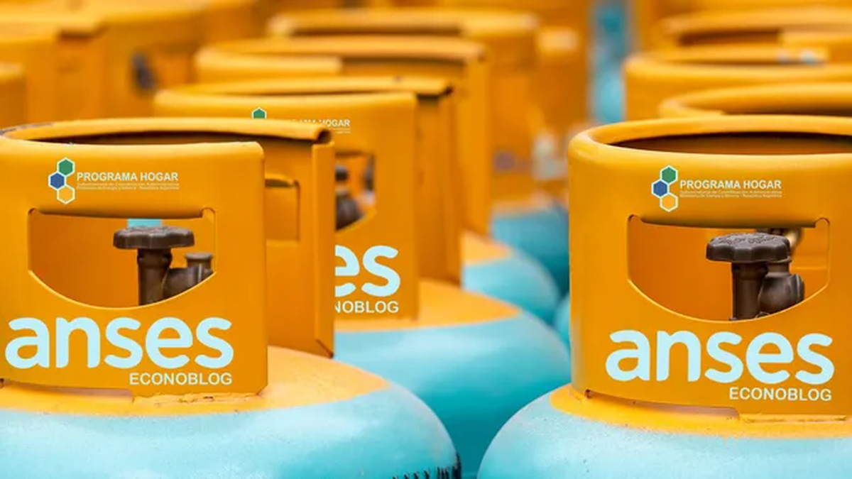 Programa Hogar de ANSES: quiénes pueden acceder y de cuánto es. (Foto: archivo)