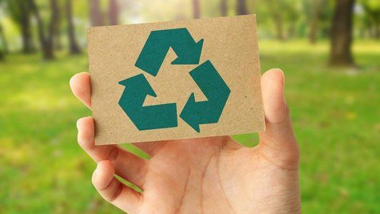 Día mundial del reciclaje: qué es, cuál es su origen y cómo reciclar los plásticos