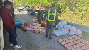 Escondía cuatro kilos de cocaína en carpinchos de peluche y cayó por un insólito detalle