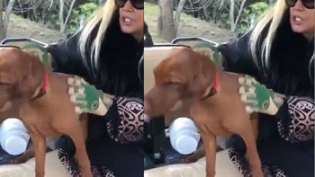 Divertido video de Susana Giménez con Rita: Se vuelve cada día más loca