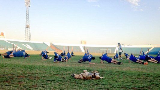 Solo en Paraguay: la perra Tesapará es ayudante de campo en un club de la Segunda División