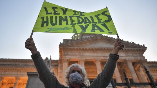 ¿Qué son los humedales y por qué es urgente una ley para preservarlos?