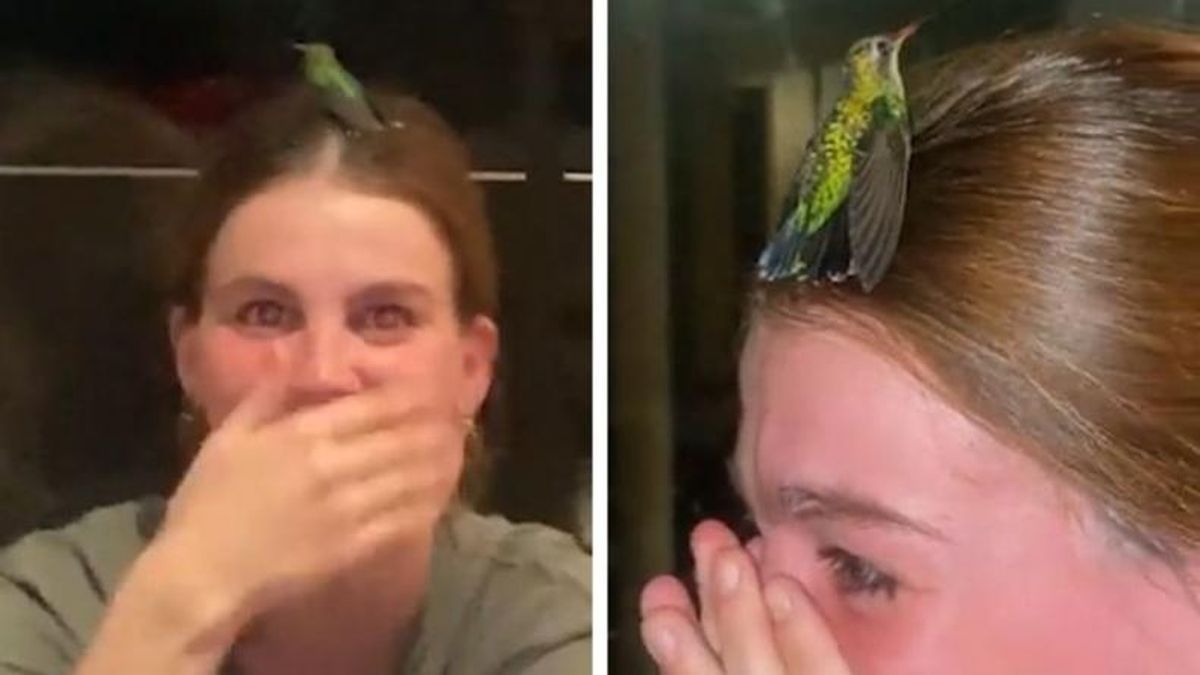 Un colibrí y una señal del más allá: el emotivo video que hizo llorar a una influencer