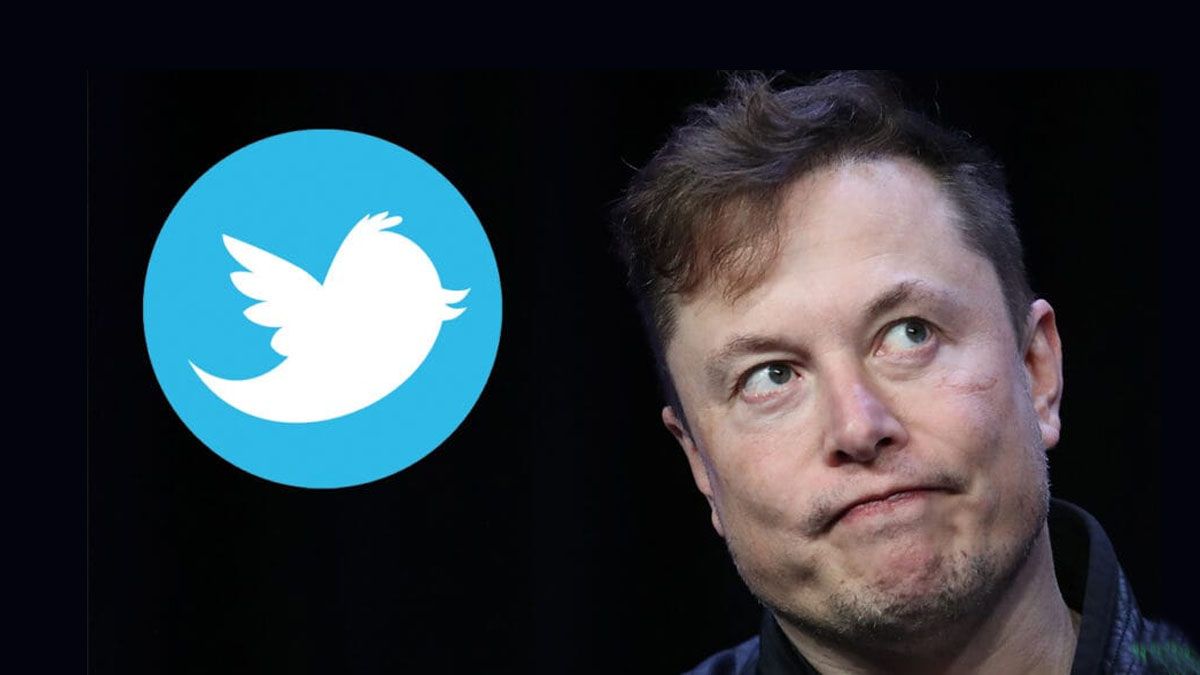 Elon Musk tiene un severo plan de ajuste para los trabajadores de Twitter (Foto: Gentileza Newshub)