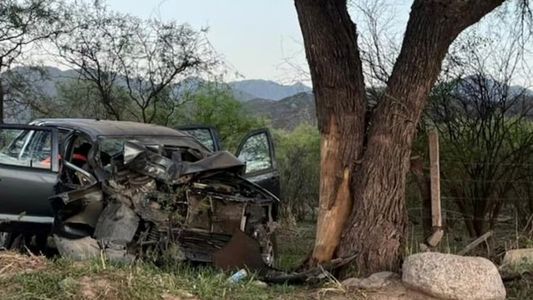 Un ex intendente perdió el control de su camioneta, chocó contra un árbol y murió