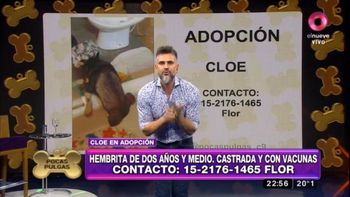 Duro comentario de Leo Montero contra Susana: No se devuelven perros como hacen señoras mayores