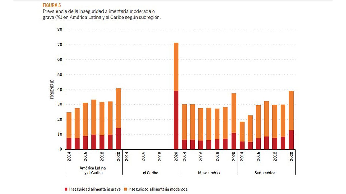En América Latina la pandemia golpeó más que en el resto de las regiones. Los números de la FAO. 