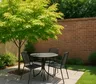 El árbol ideal para patios chicos: da sombra en verano, resiste la sequía y no rompe el piso