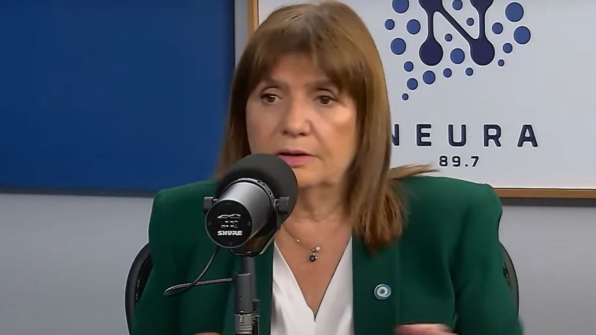 Patricia Bullrich aseguró que no dudará en anular leyes si no la acompaña el Congreso (Foto: captura de video).