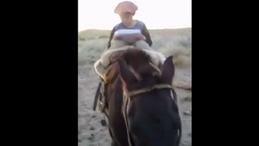 La historia de Jeremías, el chico de La Pampa que desde el campo, sin internet, se las rebusca para enviar su tarea