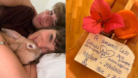 Desgarradora despedida de Julián Serrano a su conejo: Nunca nadie me hizo llorar así