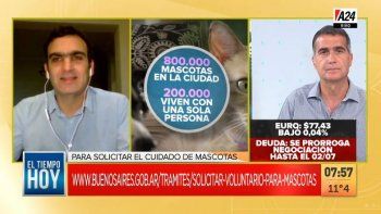 La Ciudad ofrece un servicio de voluntariado para el cuidado de mascotas