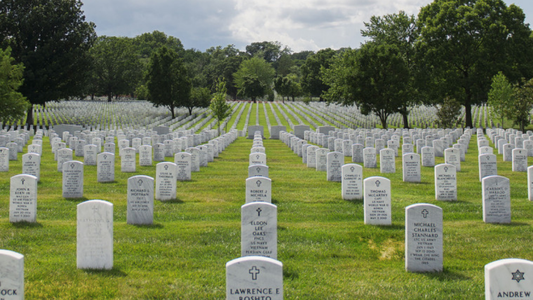 Terror: fue al cementerio y encontró pelo humano saliendo de una tumba