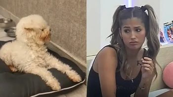 Tildan de maltratadora a Julieta de Gran Hermano 2022 tras desearle la muerte a su perra: Da una imagen fea y violenta