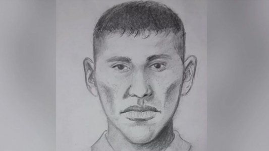 Revelan el identikit del presunto asesino del colectivero