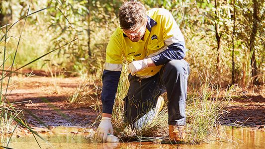 Hidrógeno verde: ¿qué es y para qué sirve el biocombustible que se producirá en el país?