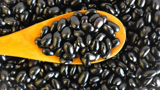 Empresa catamarqueña exportó nuevamente a Chile por el Paso San Francisco