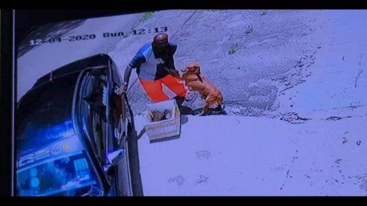 Estremecedoras imágenes de un perrita aferrándose a su dueño para que no la abandonara