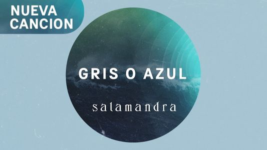 Salamandra estrenó el video de Gris o azul