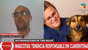 mascotas: una salud y tenencia responsable en tiempos de cuarentena mascotas: una salud y tenencia responsable en tiempos de cuarentena